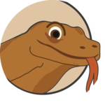 Comodo Coin